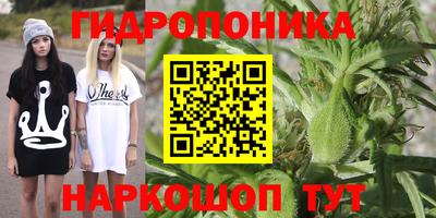 соль ск Заводоуковск