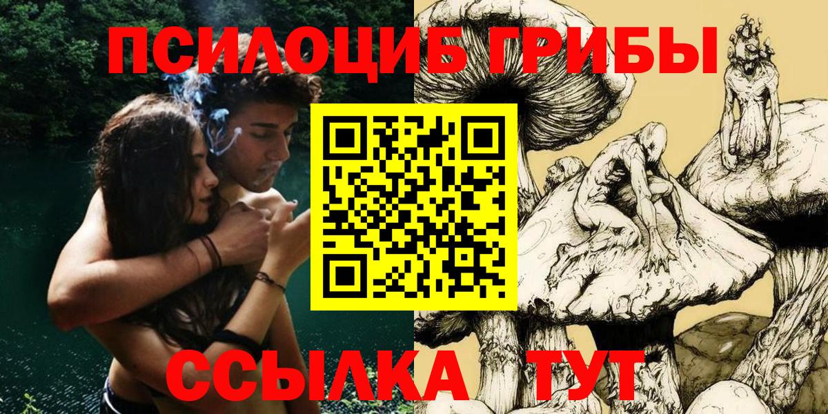 где купить   Галлюциногенные грибы MAGIC MUSHROOMS  Вход с VPN  Галлюциногенные грибы MAGIC MUSHROOMS  Армавир 